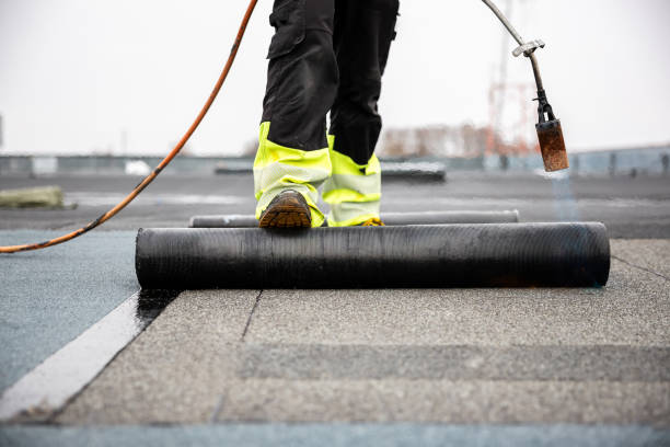 Best Rubber Roofing (EPDM, TPO)  in Springfield, VA